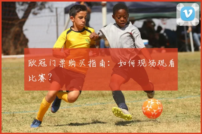 欧冠门票购买指南：如何现场观看比赛？