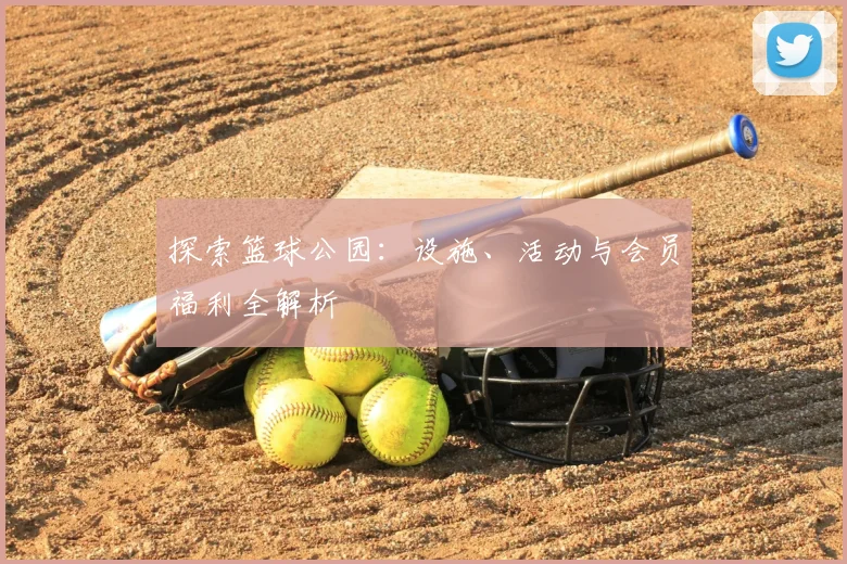 探索篮球公园:设施、活动与会员福利全解析